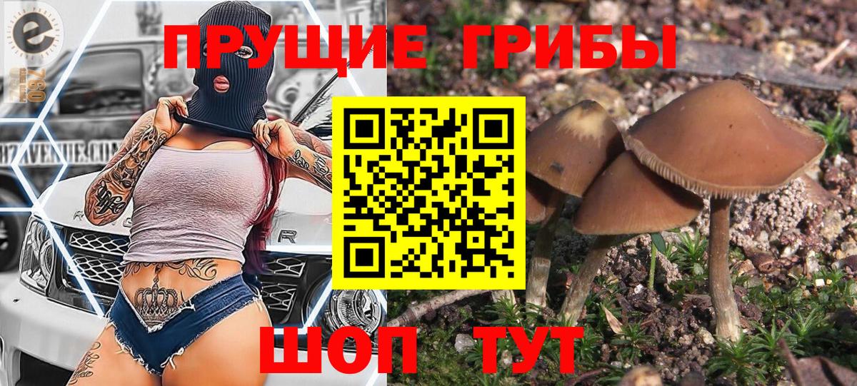 Химки  Галлюциногенные грибы ЛСД  Вход с VPN 